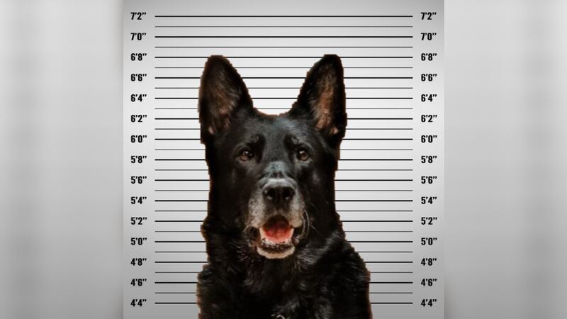 Officer Ice has been accused of stealing a fellow officer's half-eaten lunch.