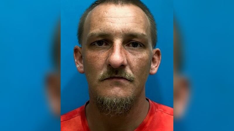 Ryan Sanders is facing multiple felony charges for the brutal attack on a 73-year-old woman...