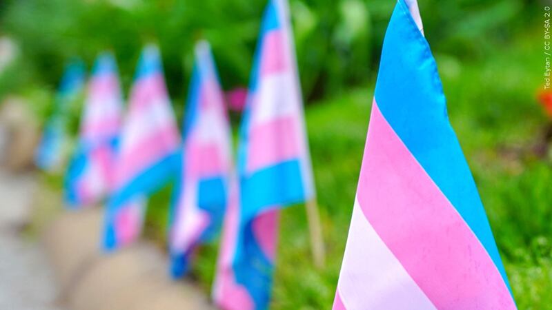 PHOTO: Transgender flags, Photo Date: May 19, 2018